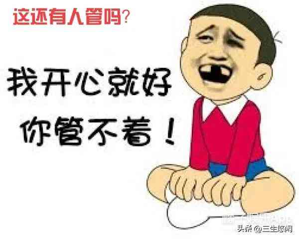飞AI写作软件与使用评测：全面指南及功能解析