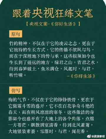 写作妙笔生花：含义、敬佩之词、说话佳句及机构文案精选