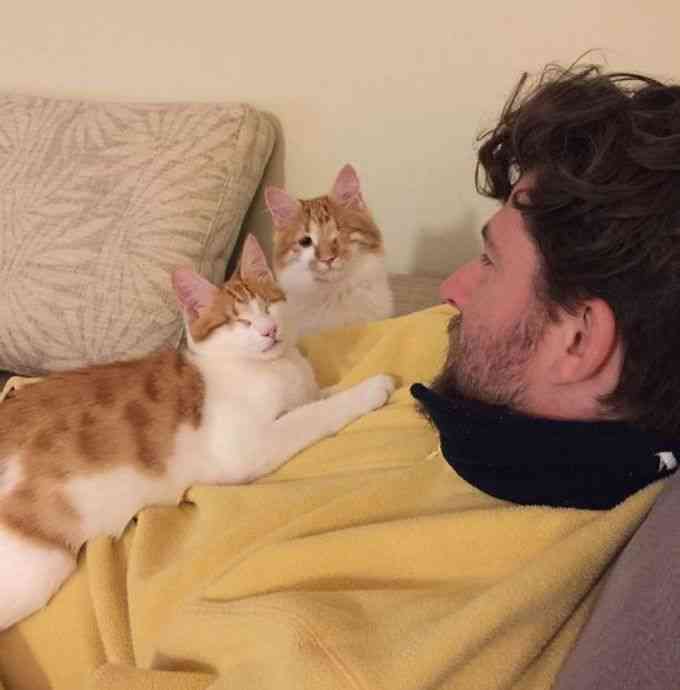 猫咪友情文案：喵星人之间的暖故事与心灵触动