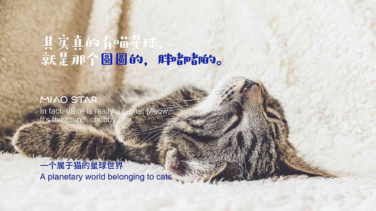 ai猫星人的文案