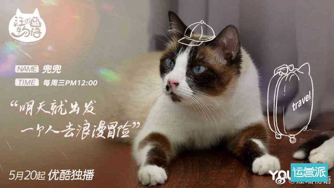 ai猫星人的文案