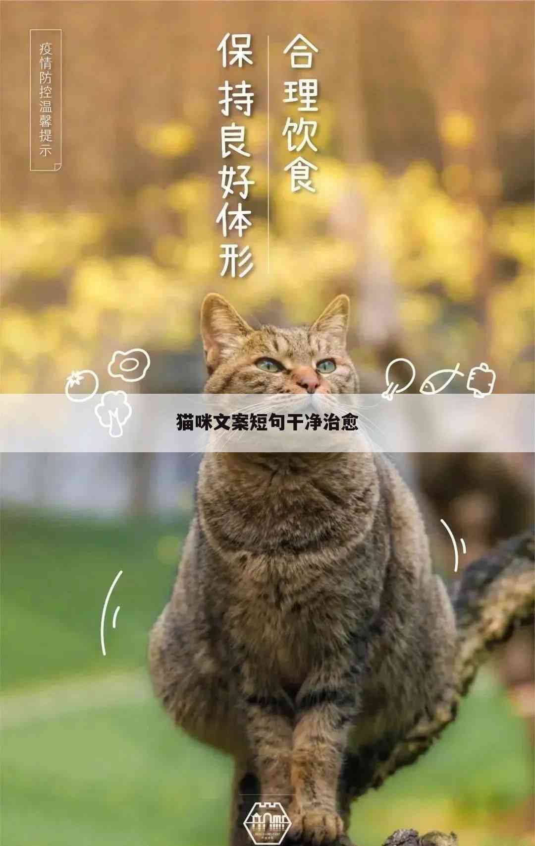 ai猫星人的文案