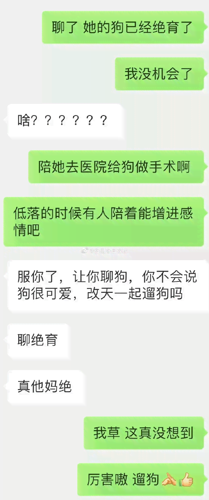 性别转换：男孩到女孩的完整故事与心路历程解析