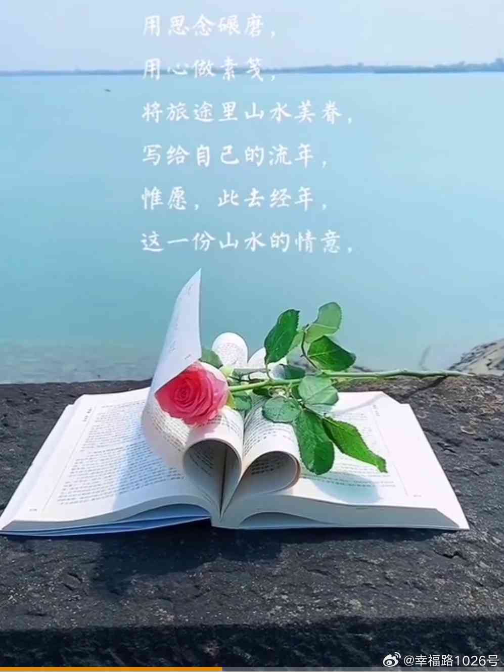 晨的文案AI：高级感短句，治愈伤感，朋友圈必备