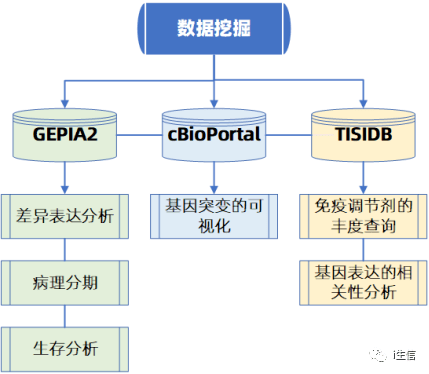 业论文写作攻略：如何利用数据高效撰写论文与数据驱动写论文全解析
