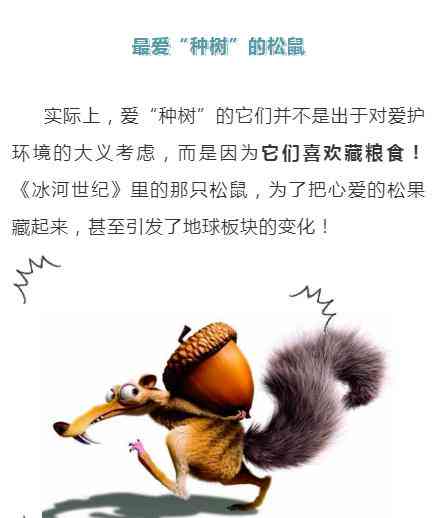 如何撰写让人深爱大自然智能之选——松鼠AI文案，让可爱小松鼠的魅力尽显
