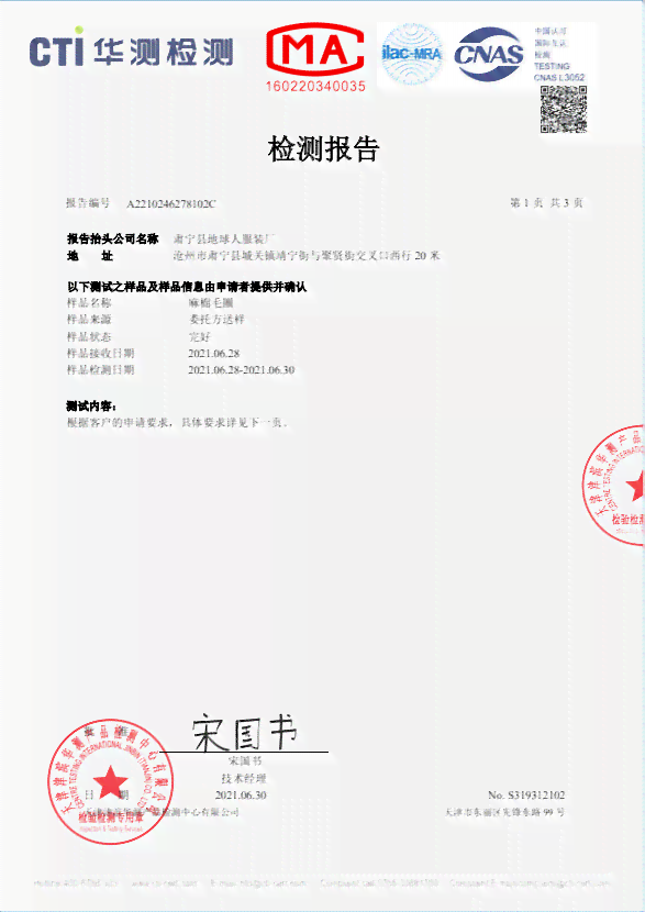 斯坦德集团皮革质检检测报告模板：专题图文素材与文库收藏