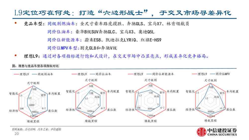 新能源理想汽车研究报告：技术与市场研究论文