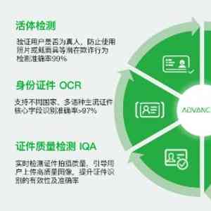AI应用领域全景解析：涵进展与多样化实用场景