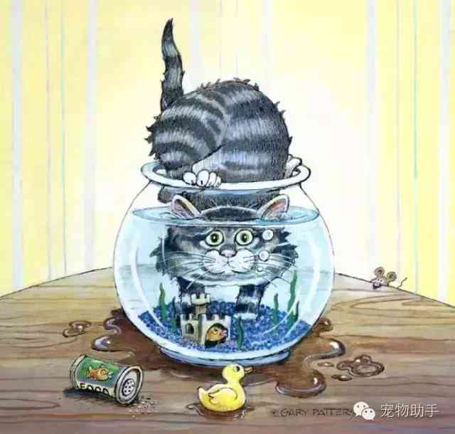 猫创作者：揭秘猫咪艺术创作背后的灵感与技巧