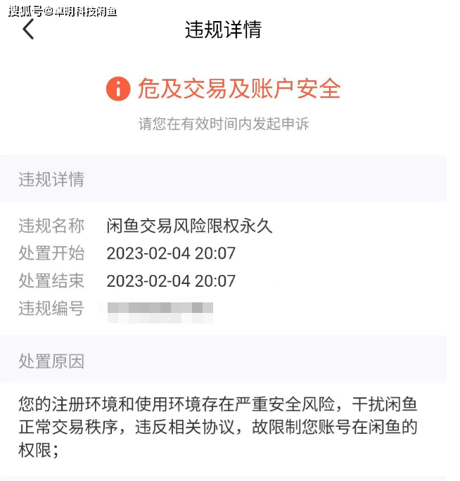 闲鱼代发帖服务是否存在风险与隐患：全方位分析其安全性及用户注意事项