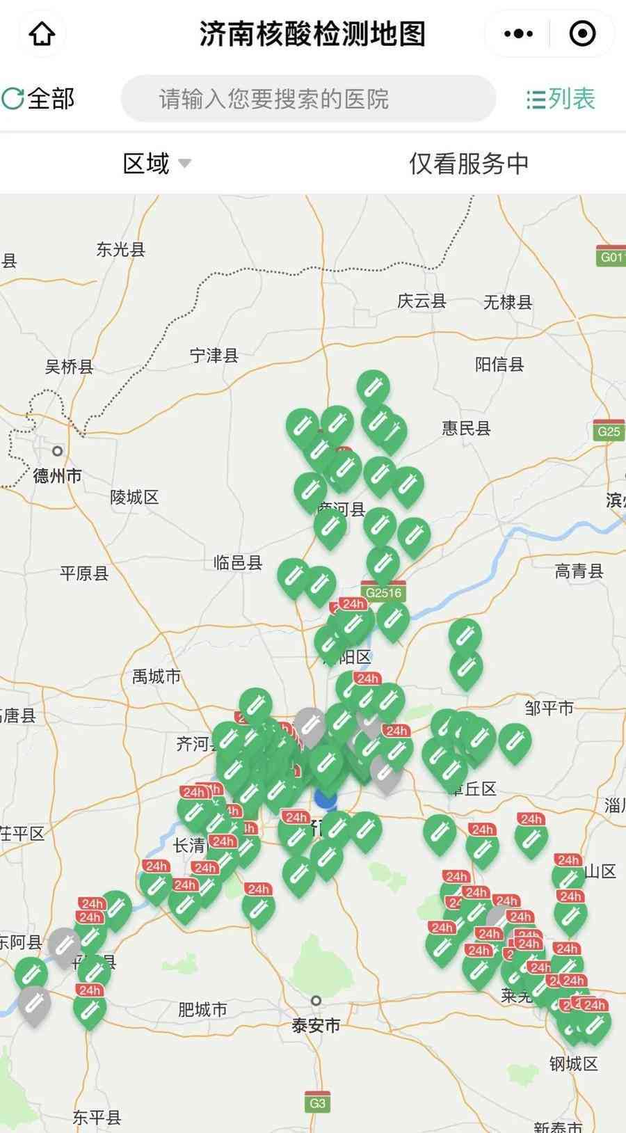 一键式操作：核酸检测报告在线查询与打印完整指南