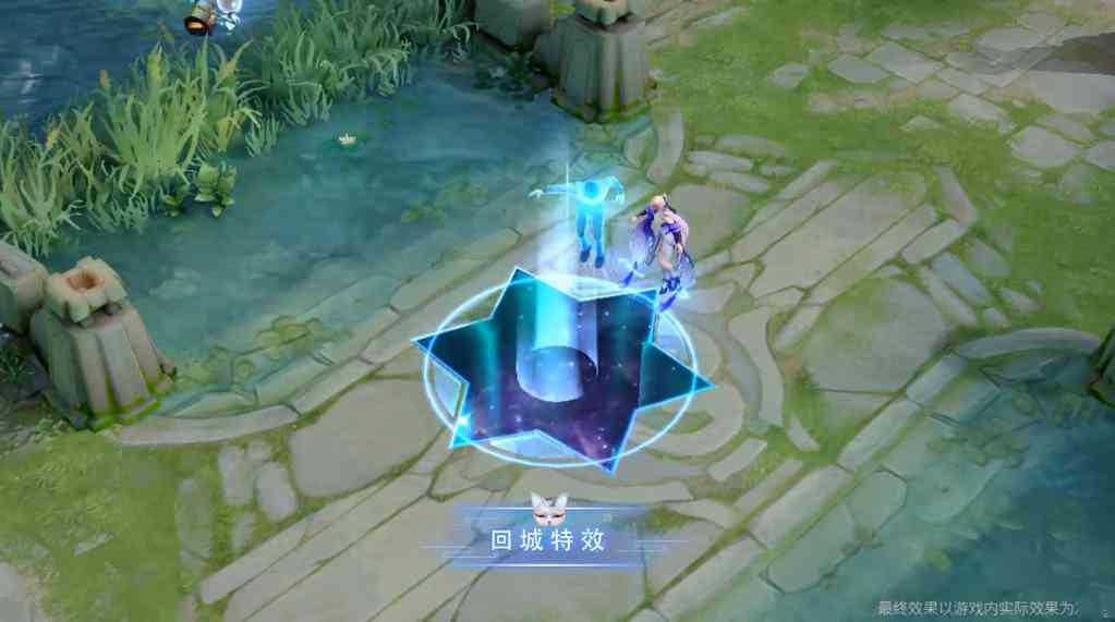 猫咪宠物特效大全：全方位满足爱猫人士的创意需求