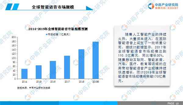 中国智能语音识别技术发展前景与市场分析年度研究报告