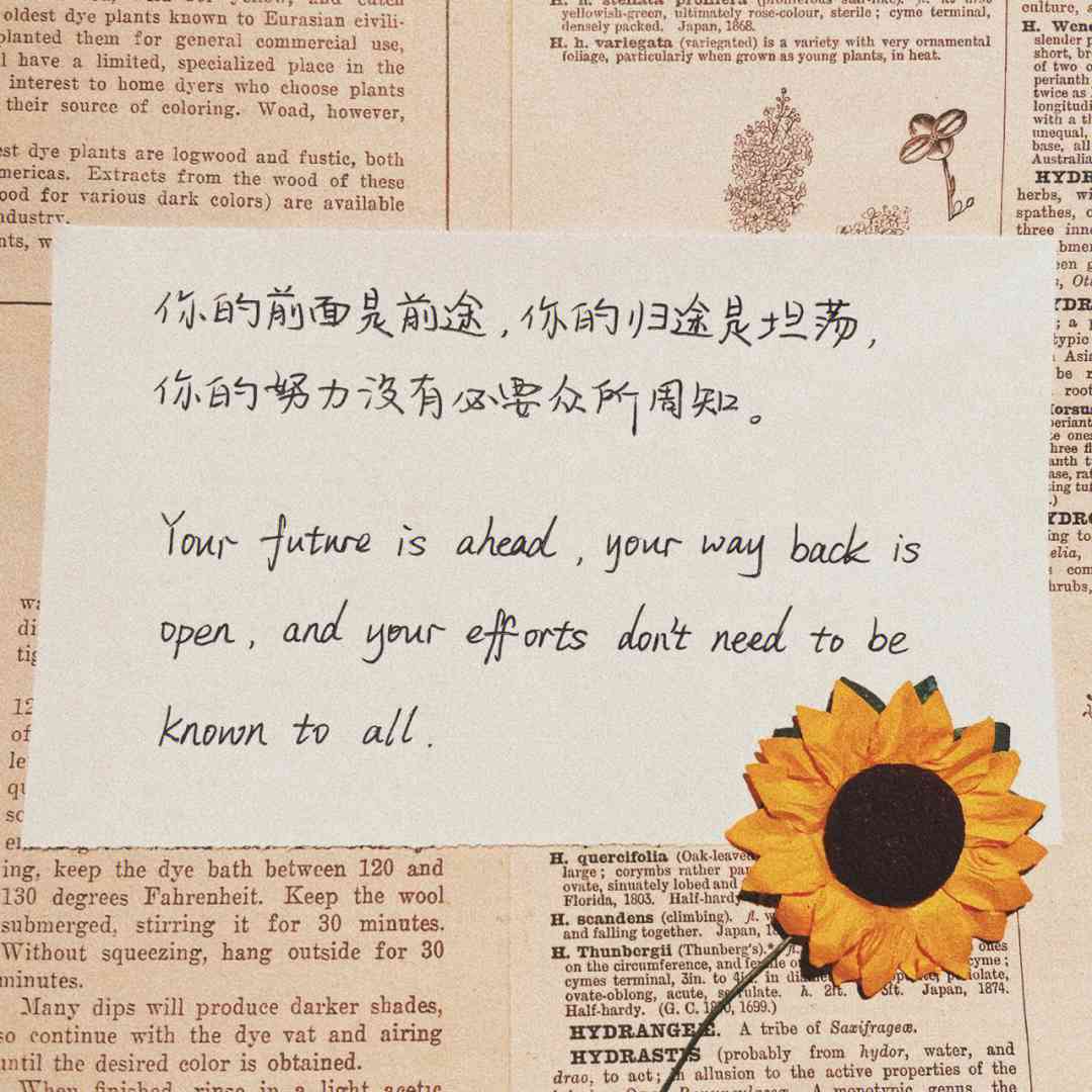 英语文案超短：春天短句干净治愈，简短文案汇编