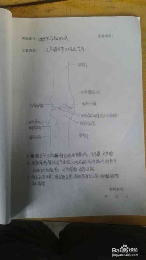 实用写作中ai写总结实验报告