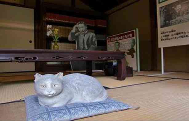 写作猫的AI写作数据怎么看：写作猫表现如何解析