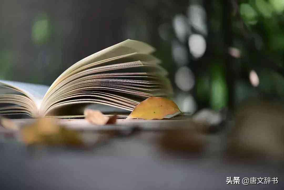 抖音动漫经典语录：重年回忆，精选热门动漫金句汇编