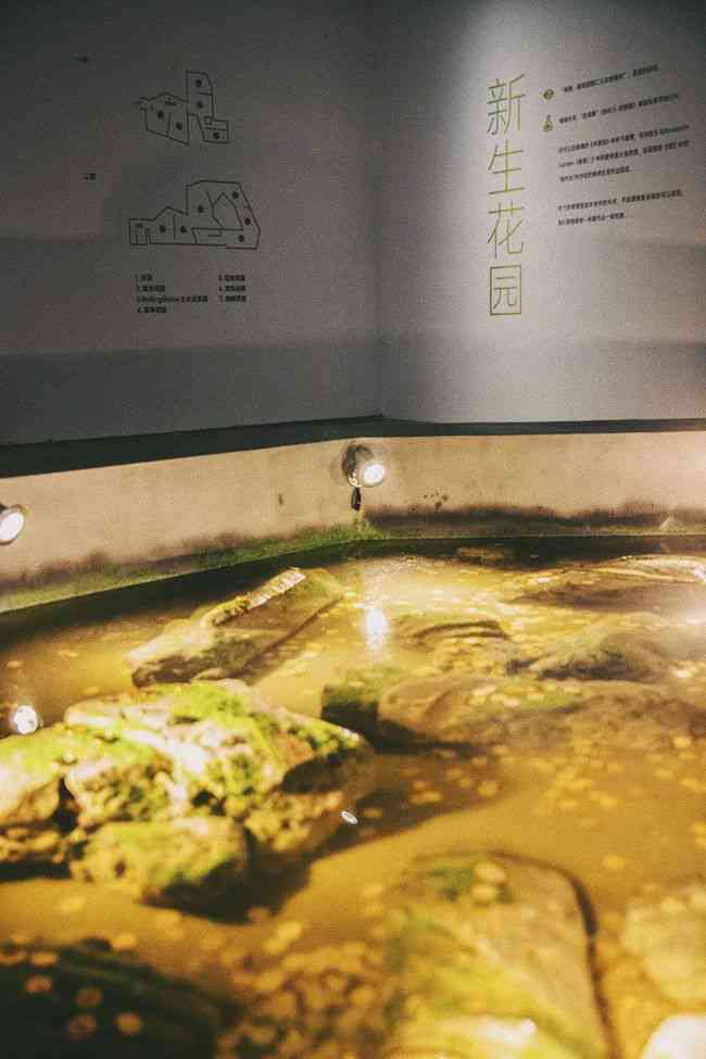关于爱的艺术作品：经典美术与爱情主题艺术精选