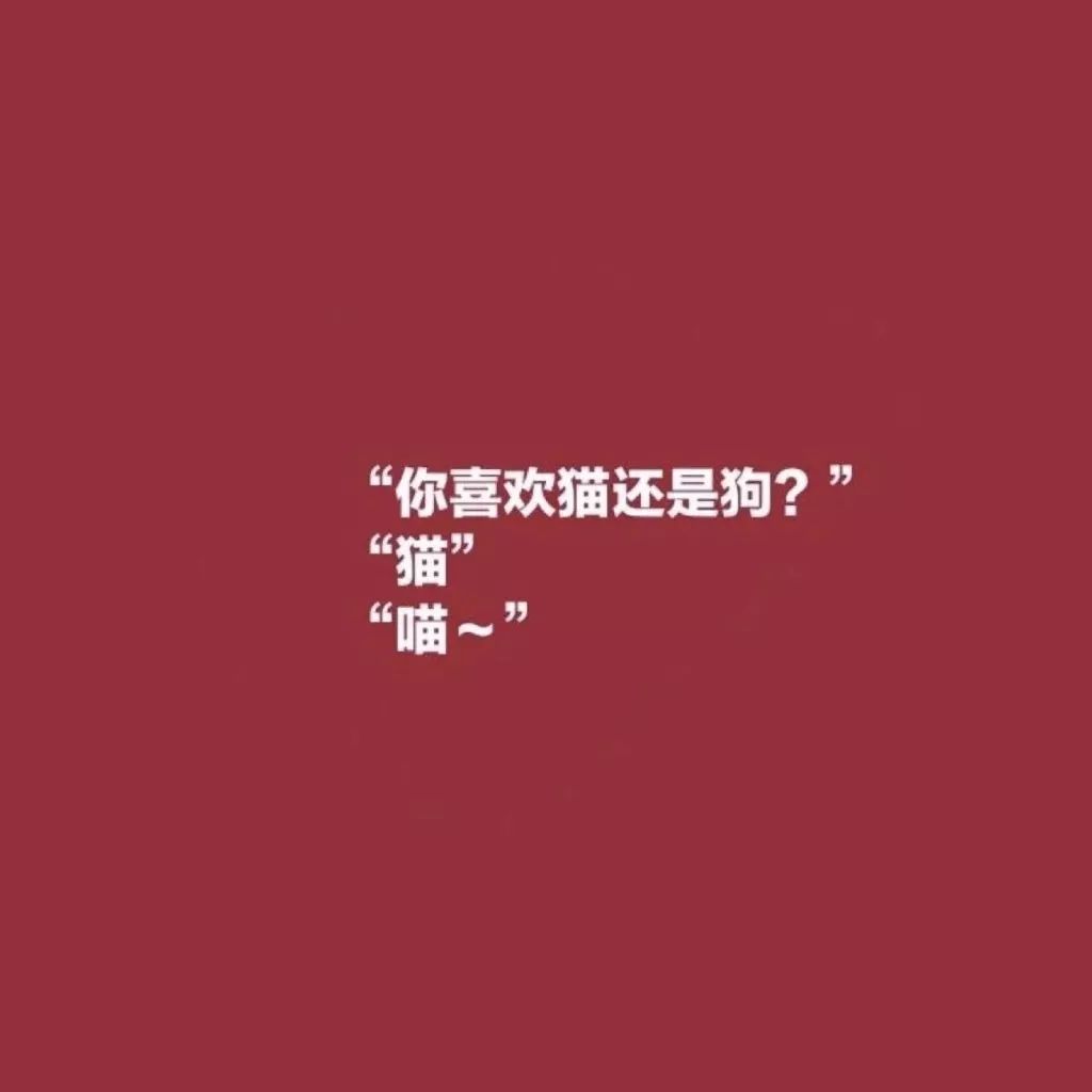 ai女生头像文案怎么写：好看霸气可爱，加文字控，头像有爱