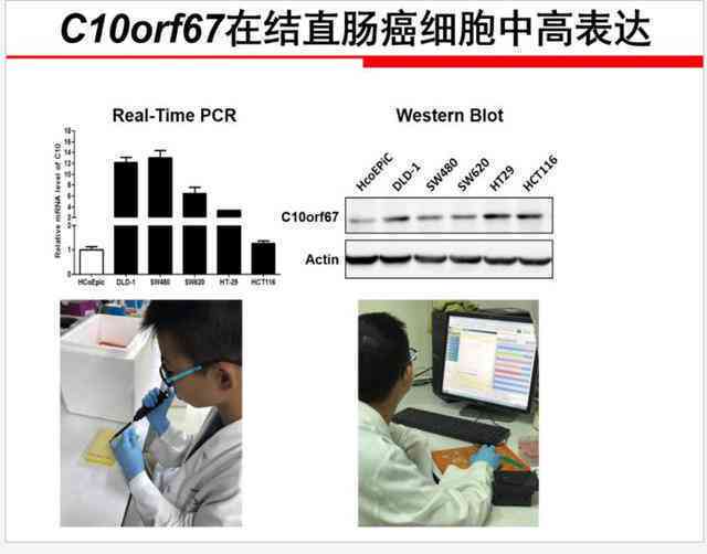深度解析：人际关系疗法(IPT)在抑症治疗中的应用与实践