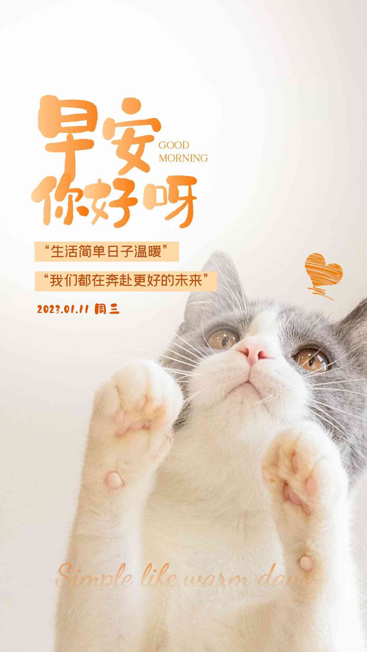朋友必备：可爱萌宠文案短句文库