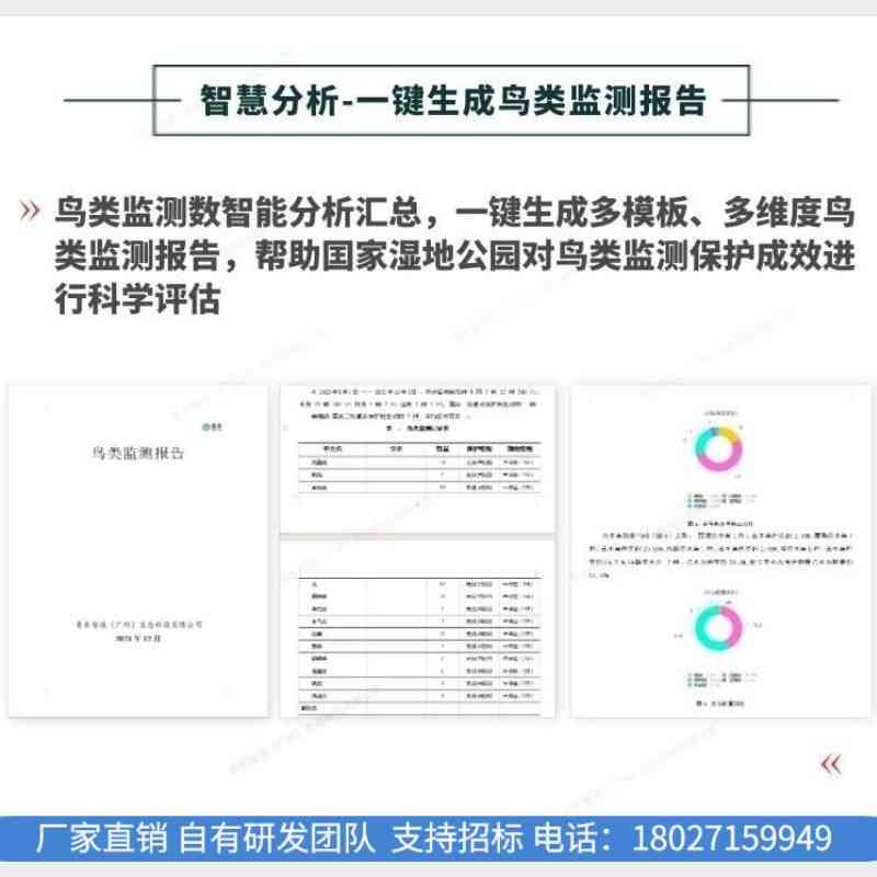 AI鸟类监测报告