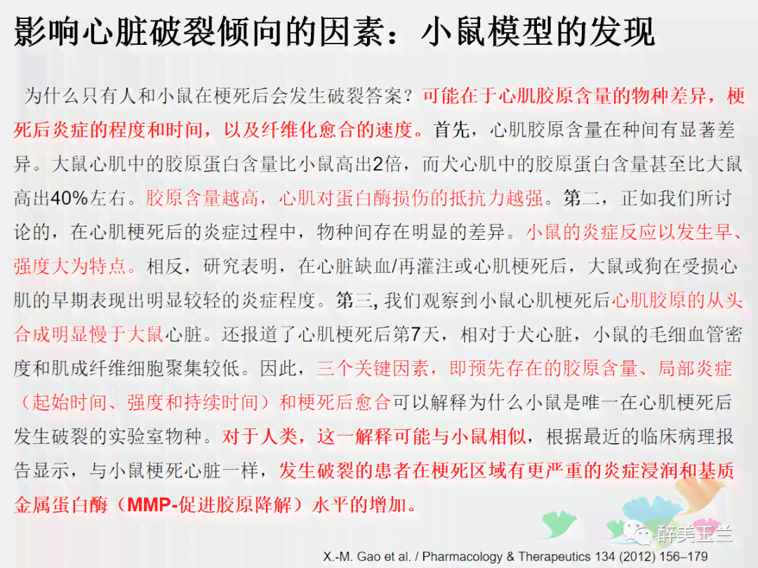 深入探讨文库内容真实性
