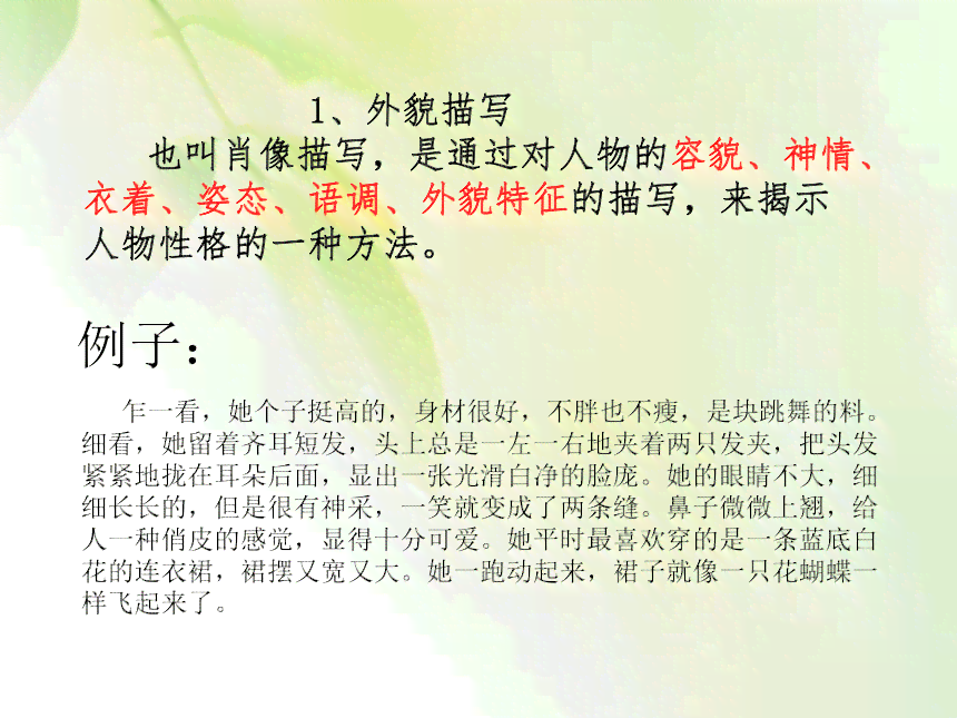 小学豆丁语文教学作文课件：文写作技巧与文写实践指导