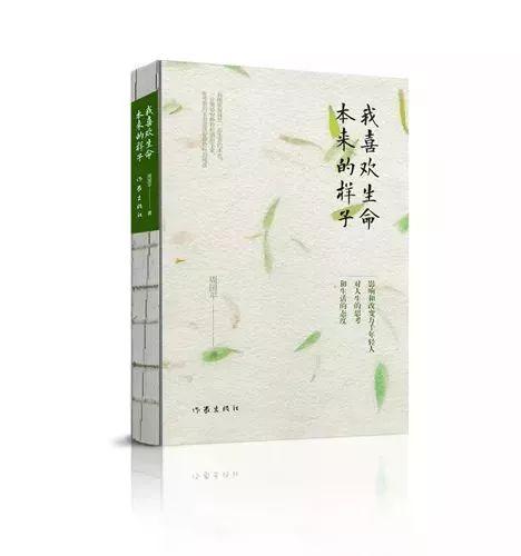 经典小说精选：不容错过的书单作品推荐