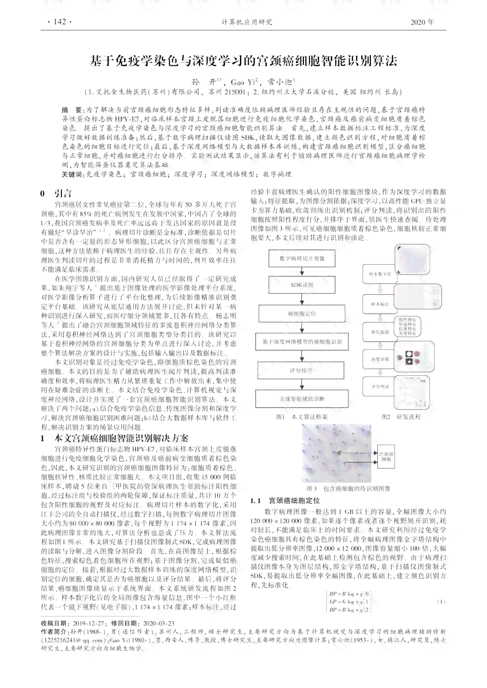 ai细胞识别算法实验报告总结：实验内容、反思与综合总结