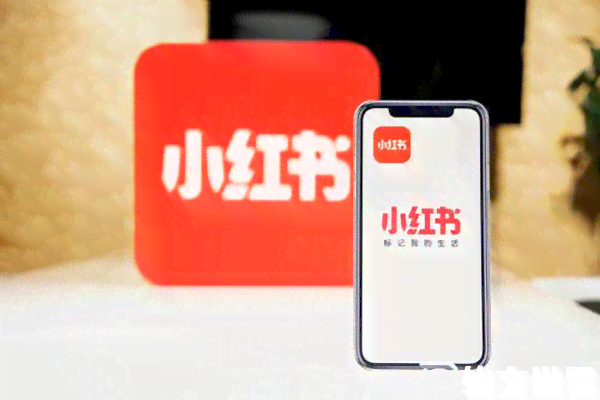 小红书内容创作攻略：如何撰写吸引眼球的文案与提升搜索排名