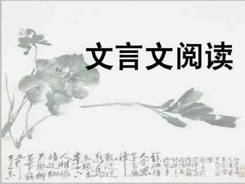原文解读：《文言文一心为民》翻译与阅读指南，深入文言之美