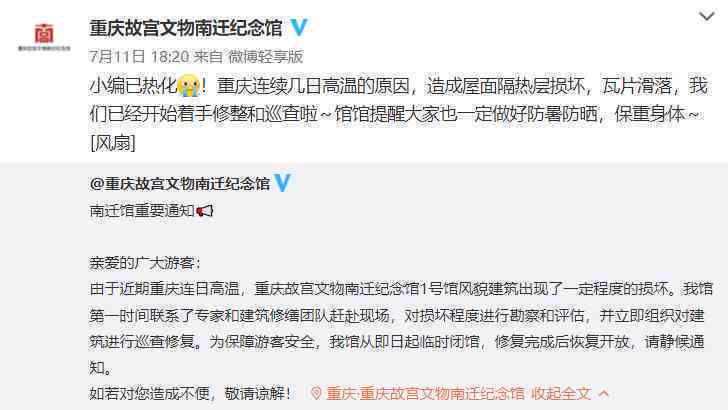 木木木子头专栏：全方位解析热门话题与深度探讨用户关注点