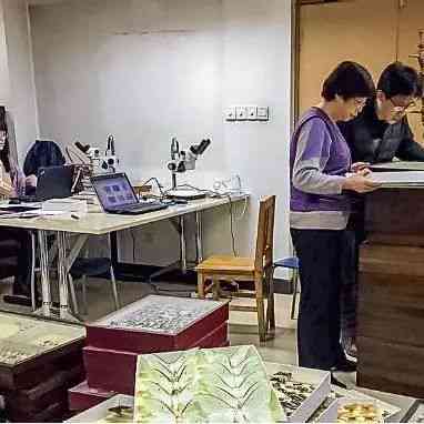 创作工作室是应该要有哪些东西：配备清单与必备要素概述