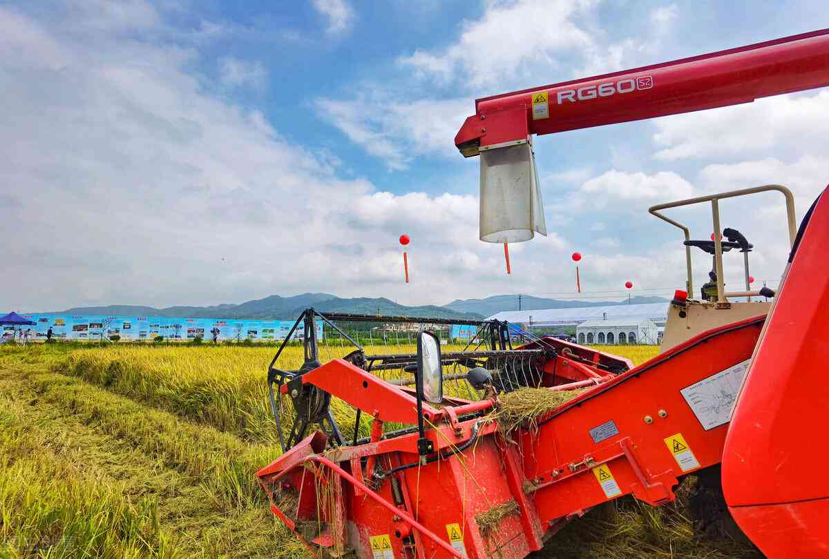 AI时代：哪些职业将被重塑或淘汰——全面解读人工智能对职场的影响