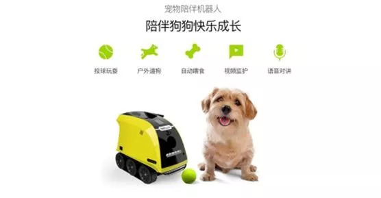智能写作机器人评测：小发猫创新实力解析