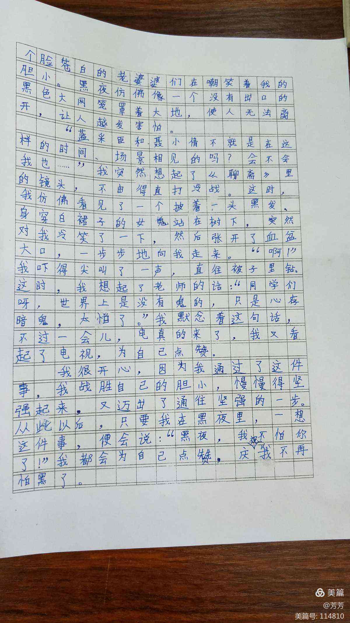 我在创作一篇精选作文