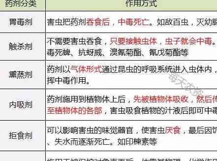 全方位论文写作助手：矛矛虫功能解析与高效辅助技巧
