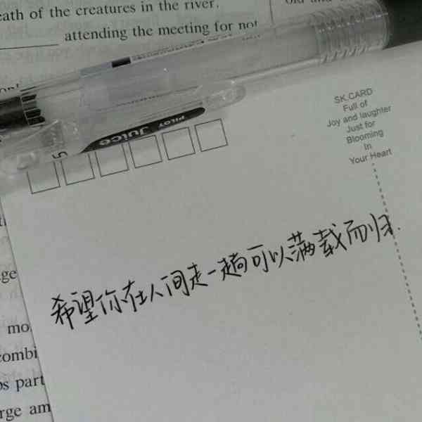精选女生头像文案及搭配指南：全面解决个性头像与文案搭配需求