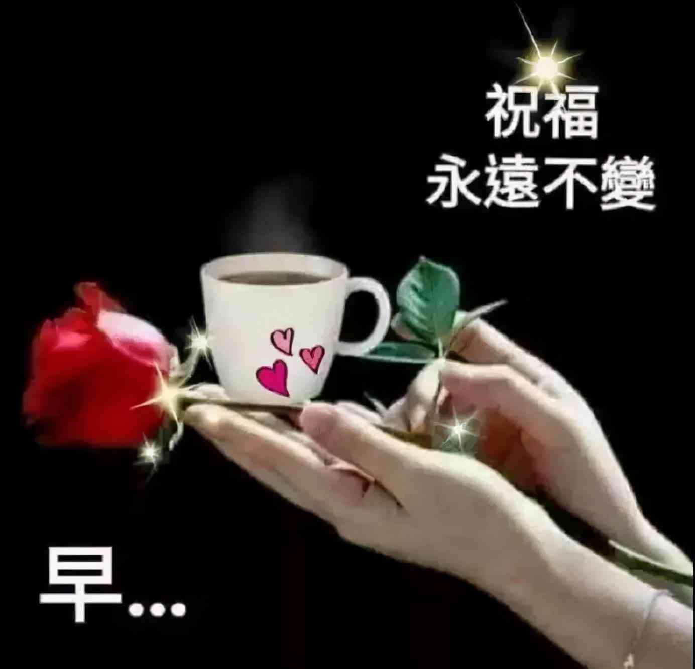 经典文案：关于我们彼此生命中高质量的爱情，让我打造朋友间的高级情感体验