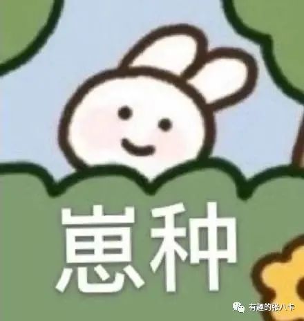 可爱表情包：小专属文案号，让文字充满趣味