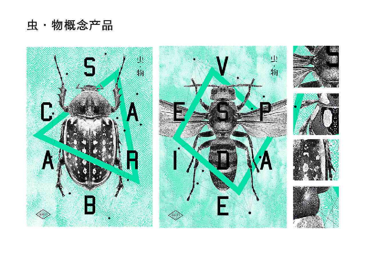 昆虫创意作品：设计大赛官网、作品设想与PPT展示