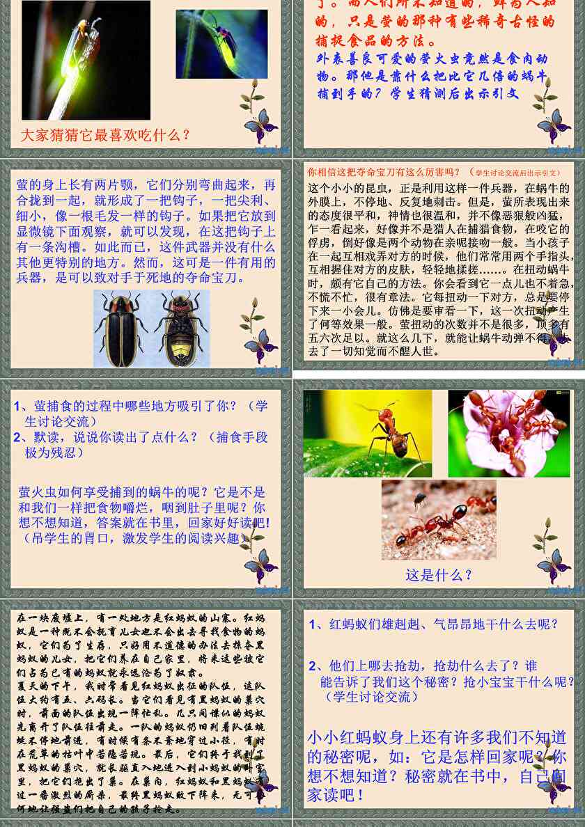 昆虫创意作品：设计大赛官网、作品设想与PPT展示