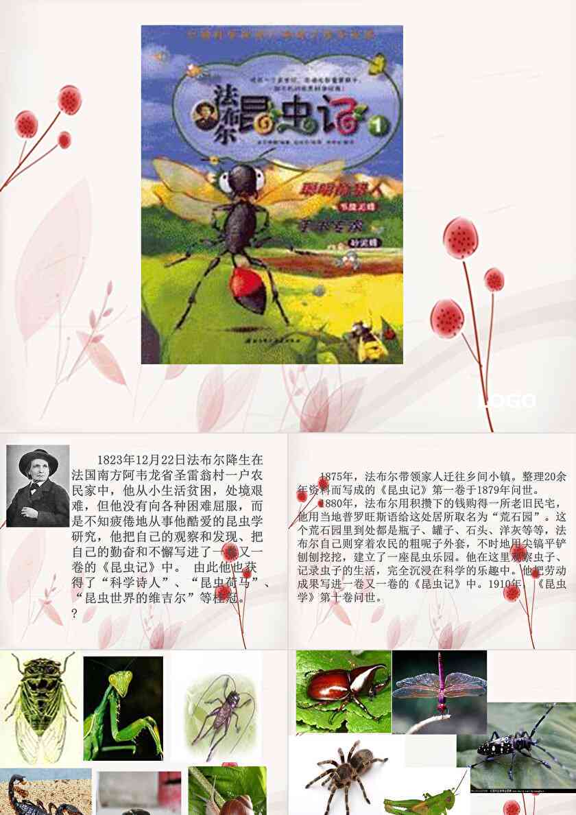 昆虫创意作品：设计大赛官网、作品设想与PPT展示