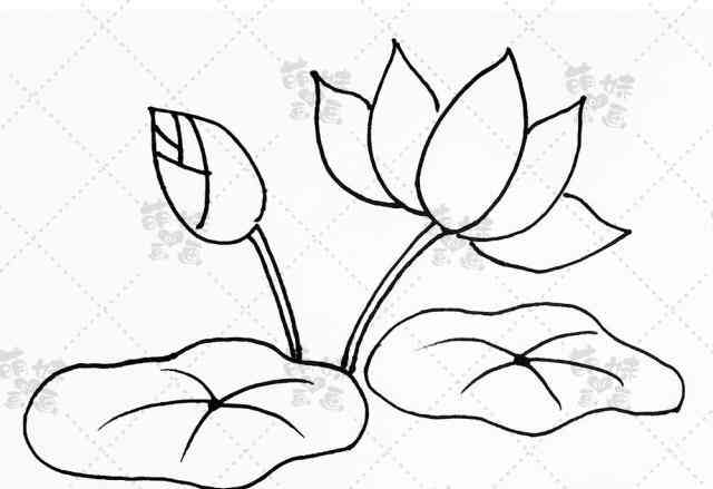 ai插画怎么画简易树与插画绘制技巧