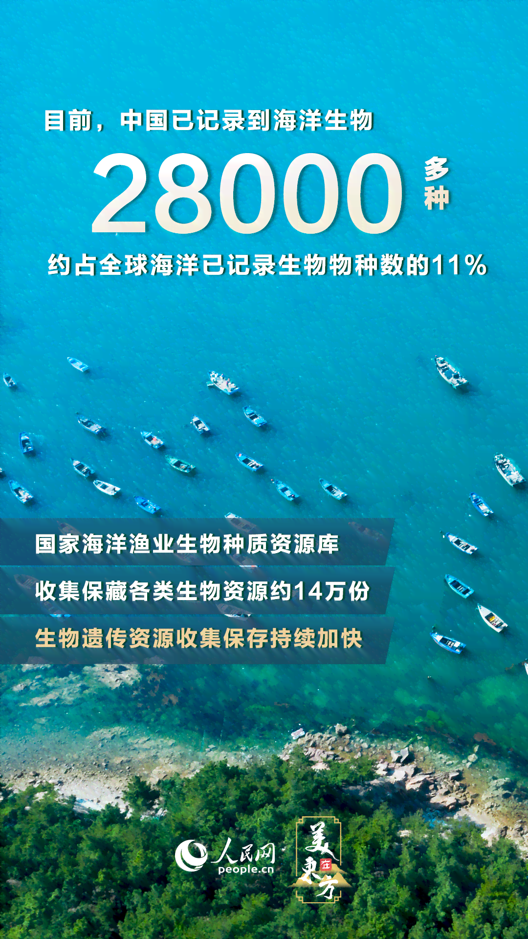小红书文案大全可爱短句合集：治愈系简短文案