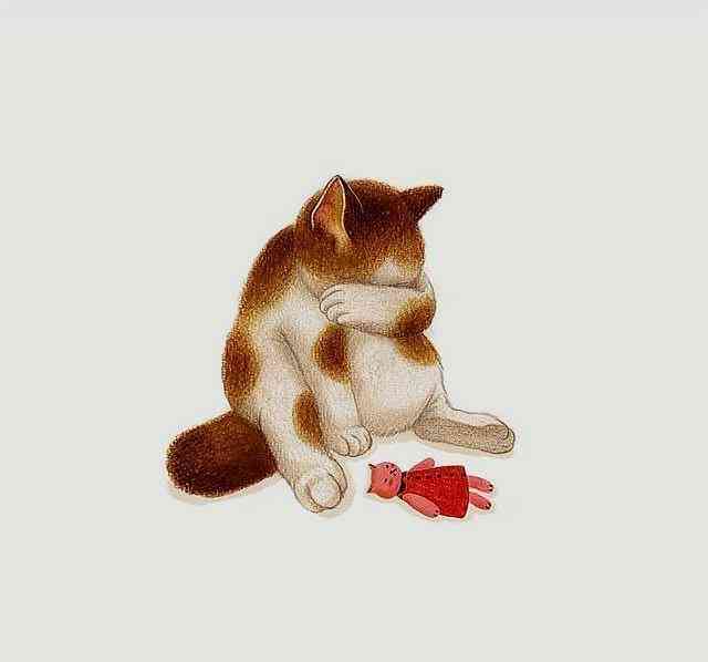 猫头经典语录合集：幽默搞笑金句大全，解决你的日常烦恼