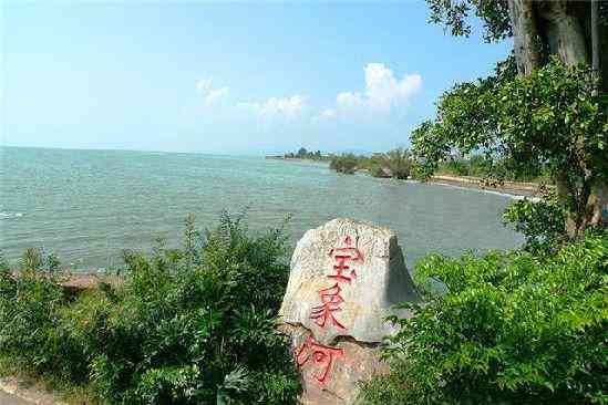 河道流量智能监测：AI算法应用与效果评估实验报告总结及案例分析