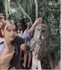 读者指南：全面探索AI领域的英文文献资源